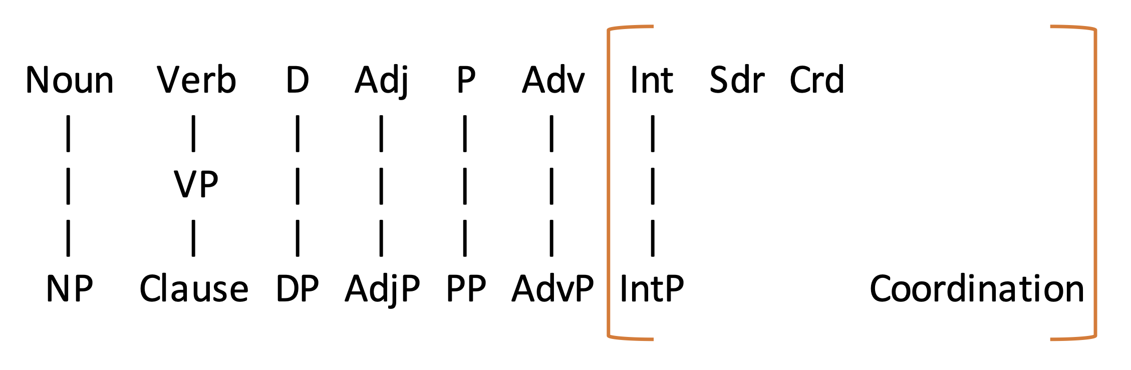 a diagram showing all the lexical categories and their phrasal projections